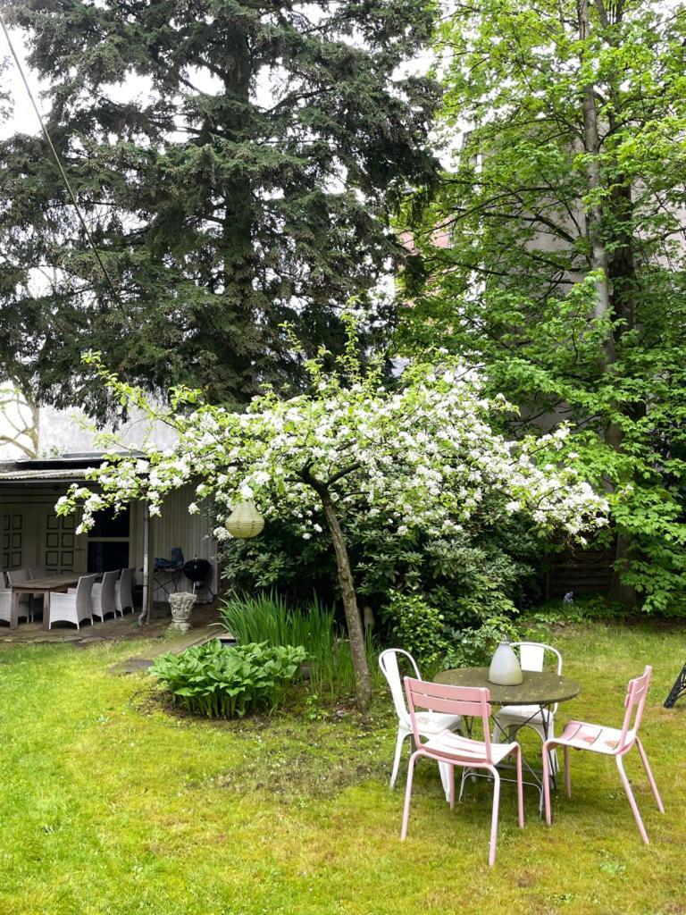 索林根Haus Mit Tuermchen公寓 外观 照片